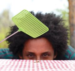 COGHLANS - TELESKOPİK SİNEKLİK