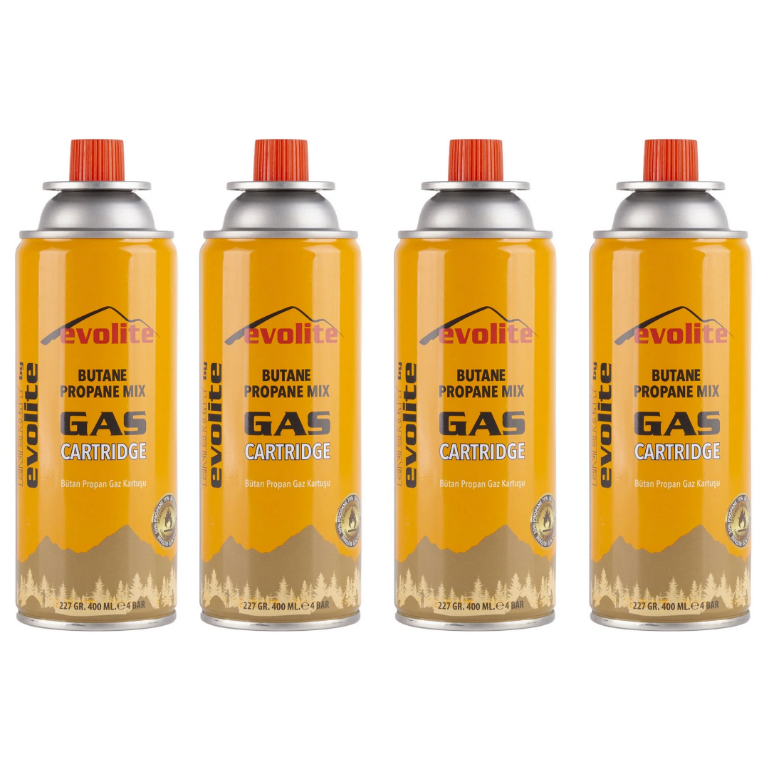 EVOLITE - GAZ KARTUŞU (VİDALI KARTUŞ) 4'LÜ SET - 227 GR
